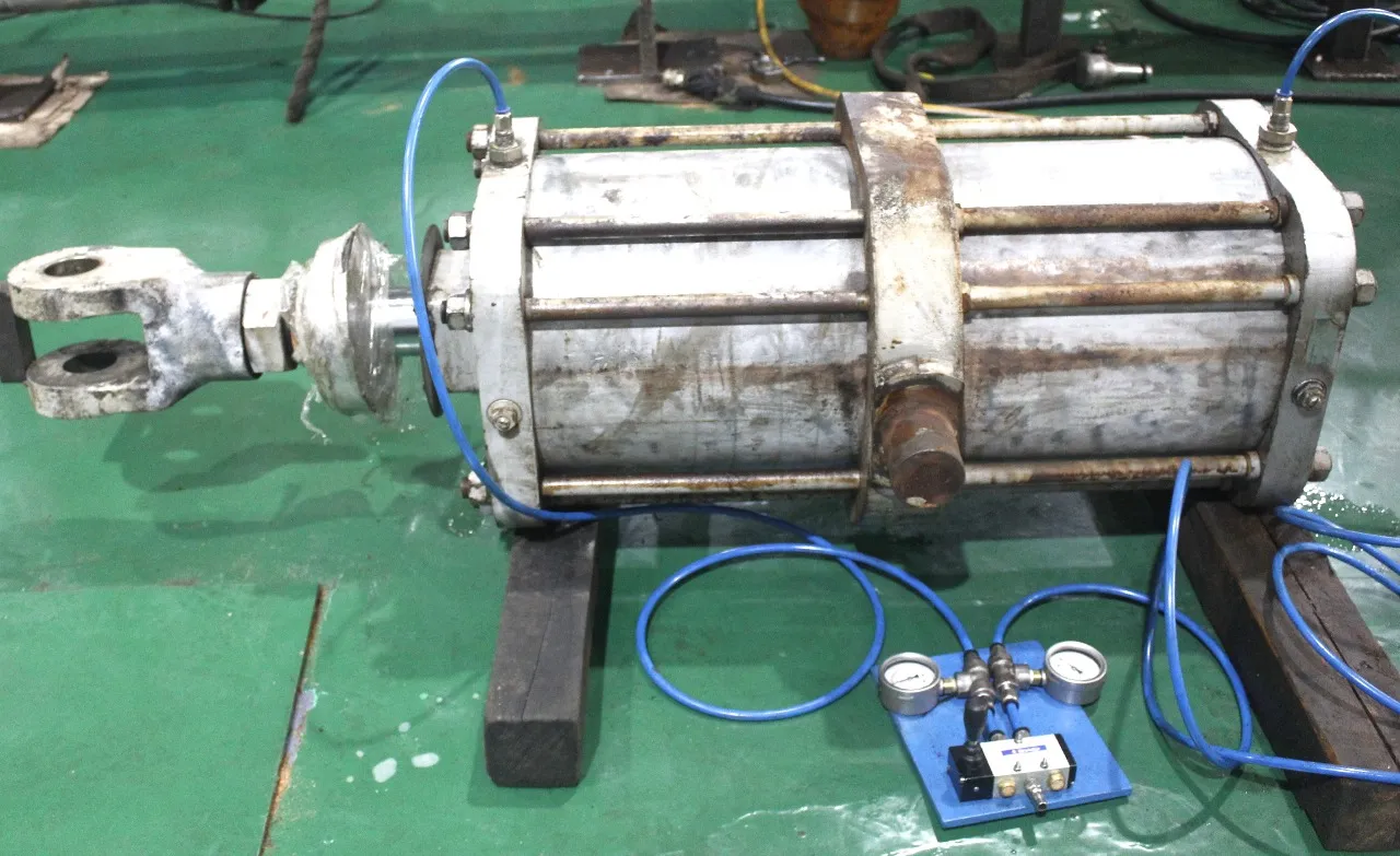 PNEUMATIC CYL CP61 - Image 3
